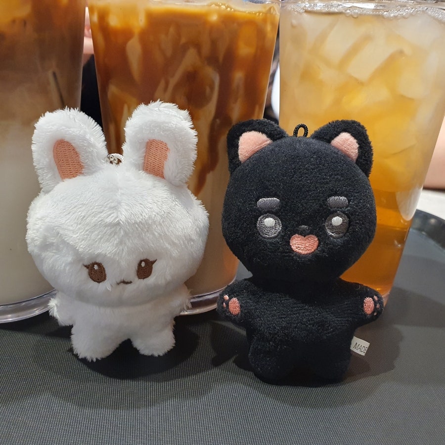 카페나비 이미지