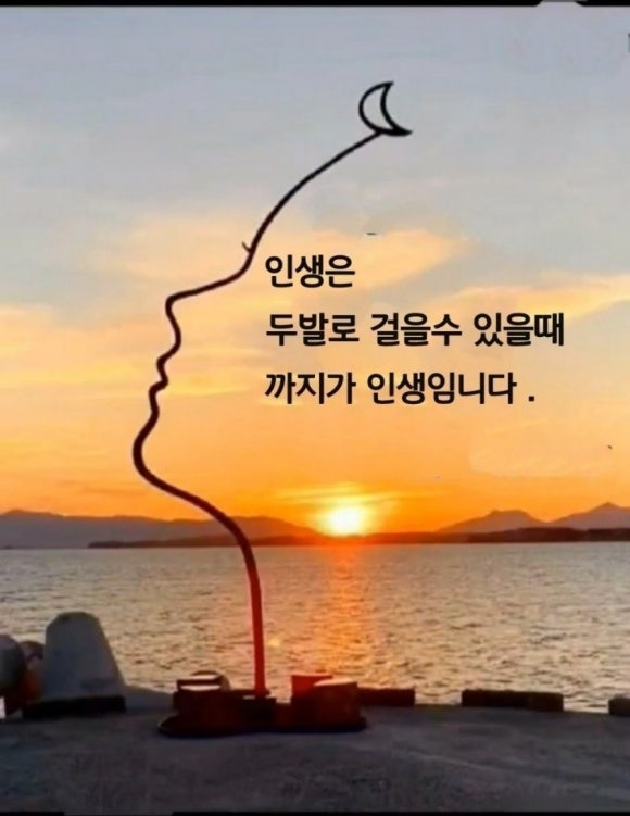 서울간병협회 이미지