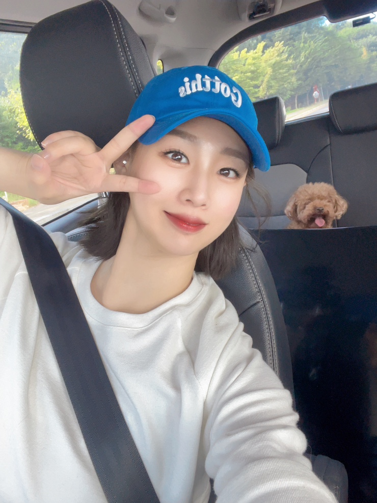 아르멍미르멍 이미지