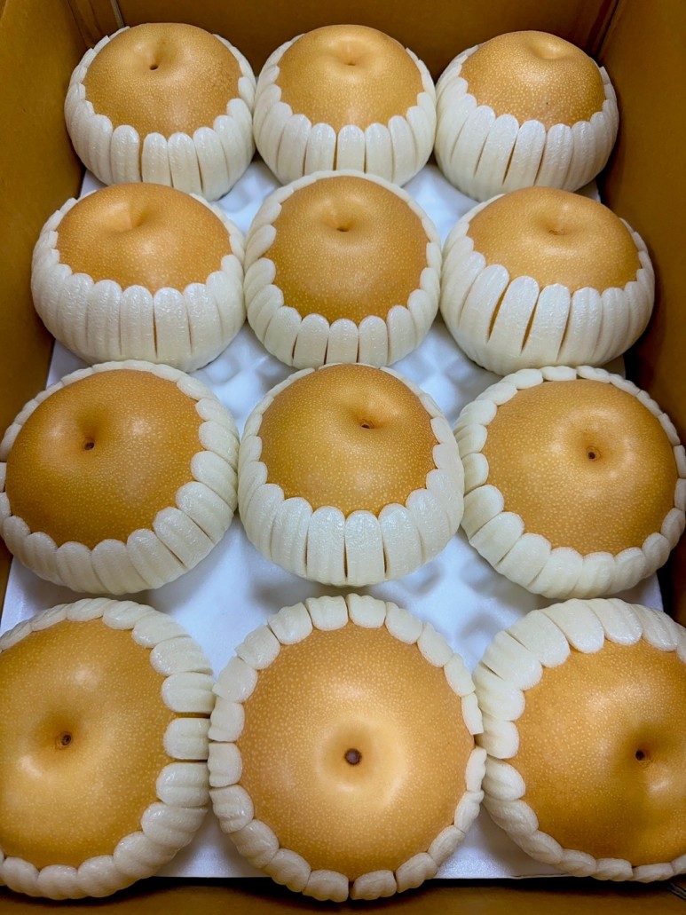 배*기 이미지