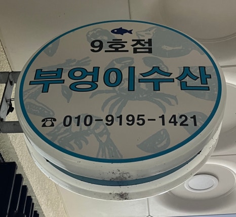 부엉이회수산 이미지