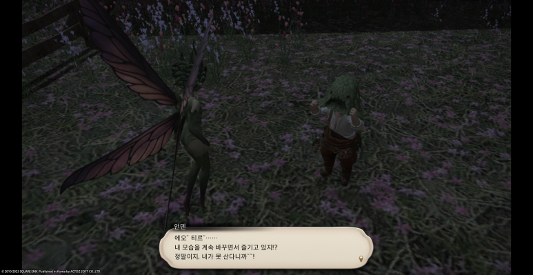 김나시온 이미지