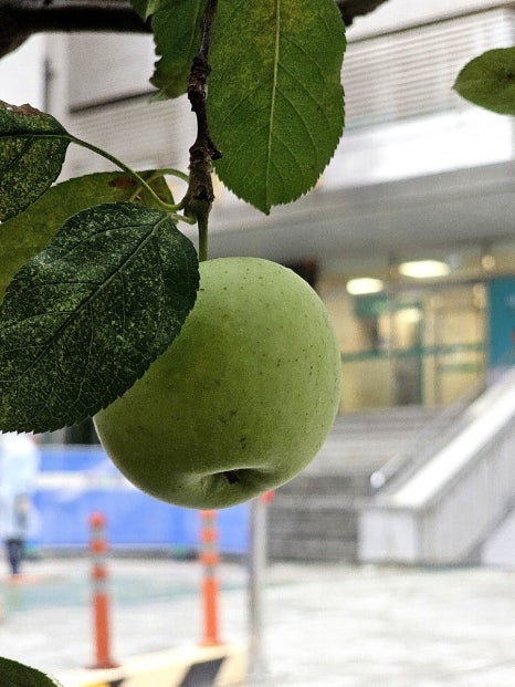 동보상회 이미지