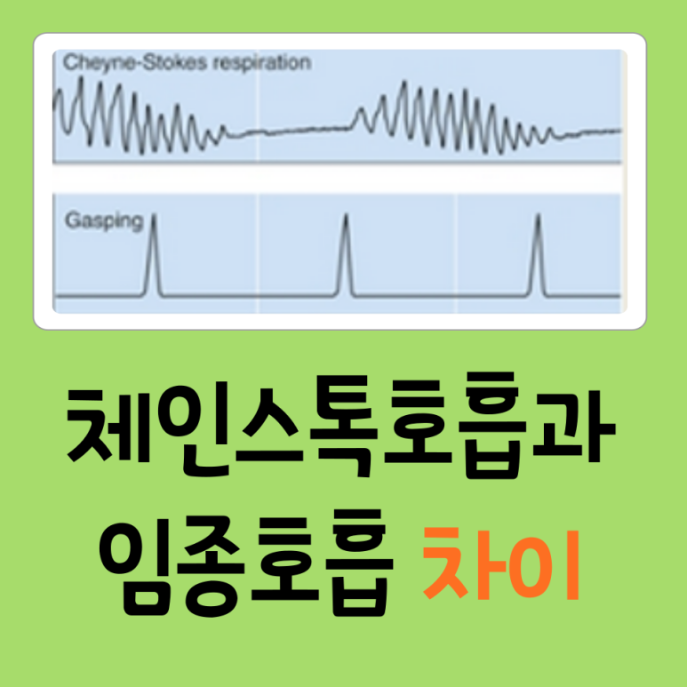 체인스톡호흡이란? (Cheyne-Stokes respiration) 임종 호흡과의 차이 : 네이버 블로그
