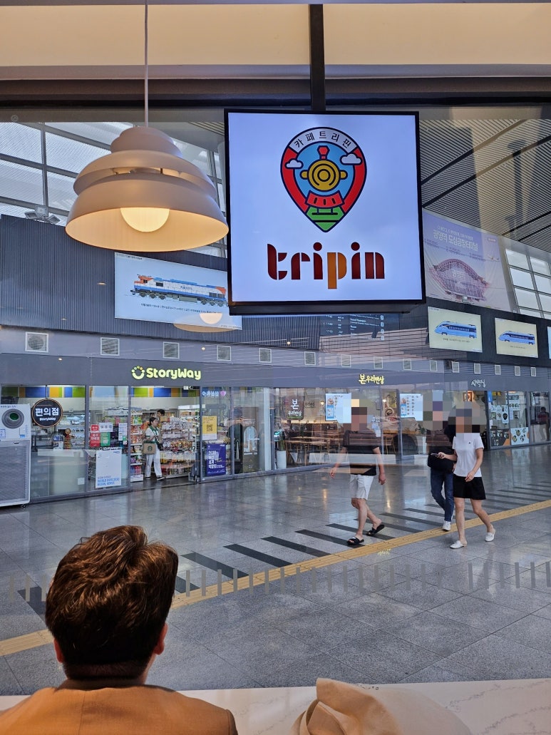 트리핀(Tripin) 이미지