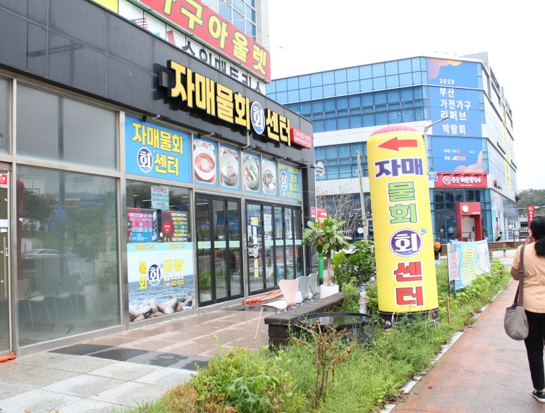 자매물회 이미지
