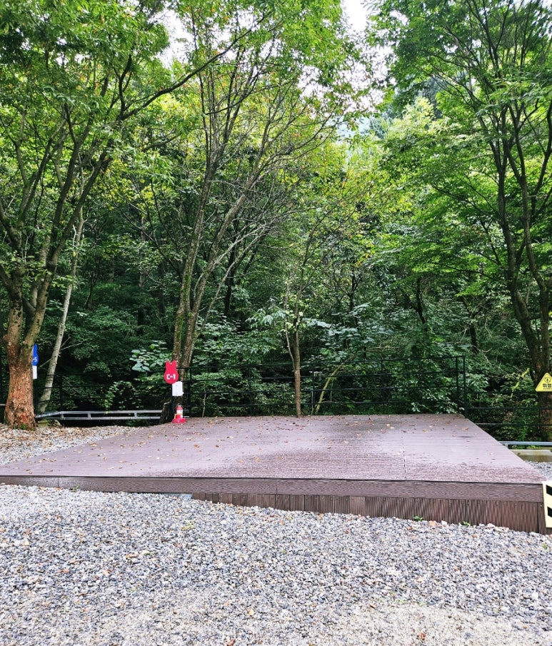 캠프1975 이미지