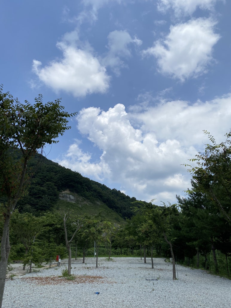 운장산칡냉면 이미지