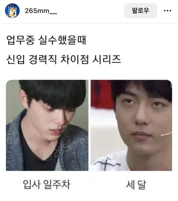 혜리콩 이미지