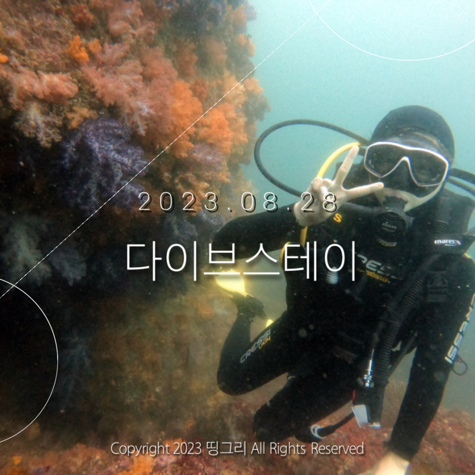 다이브스테이 이미지