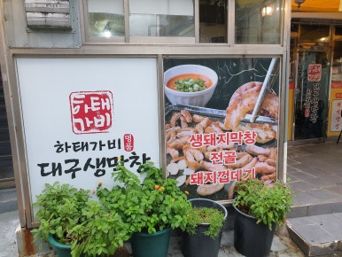 하태가비 명품대구생막창 본점 이미지