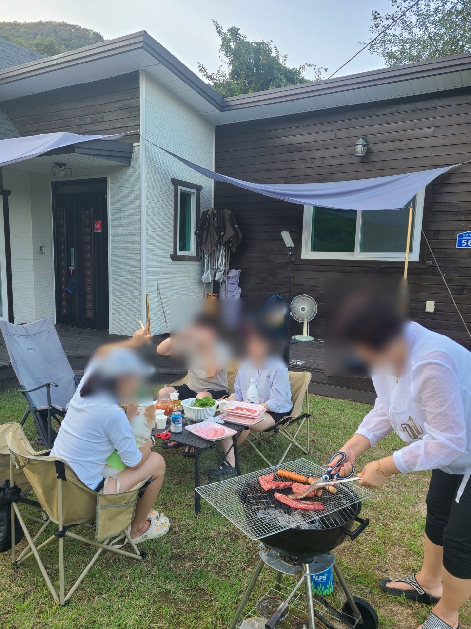 반디불이 이미지