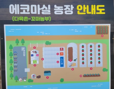 다육촌 이미지