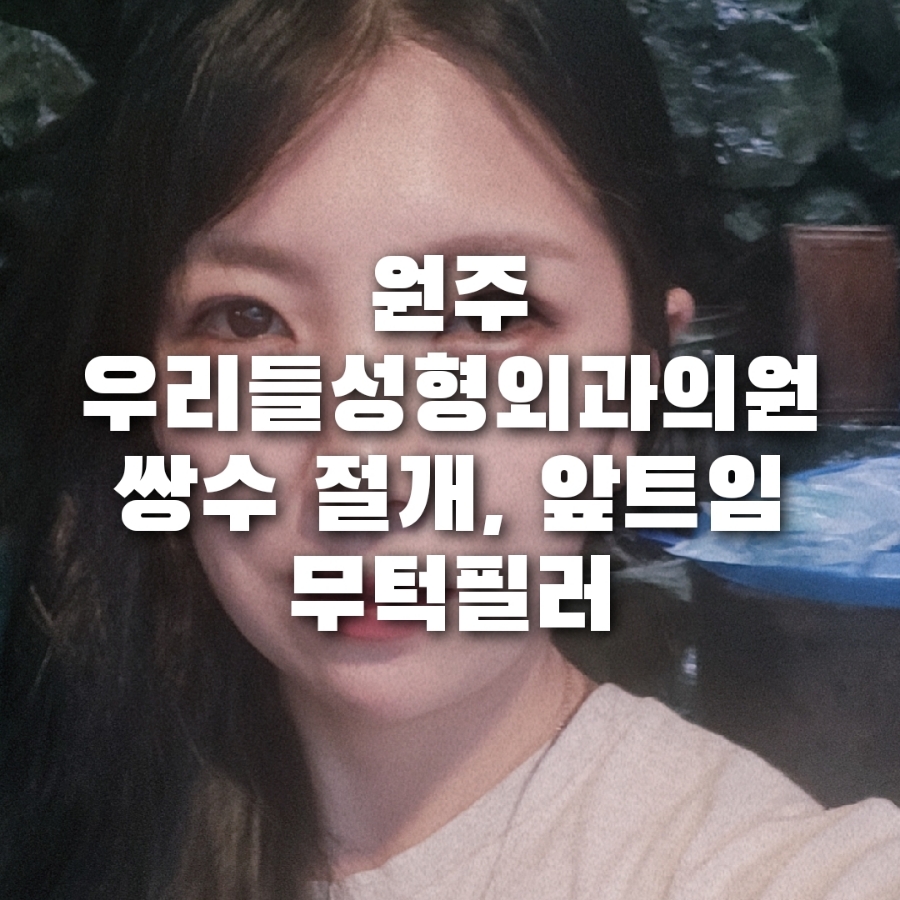 우리들성형외과 이미지