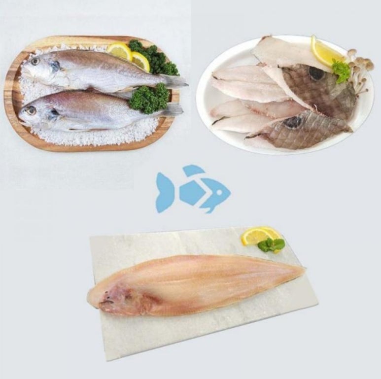 덕성수산 이미지