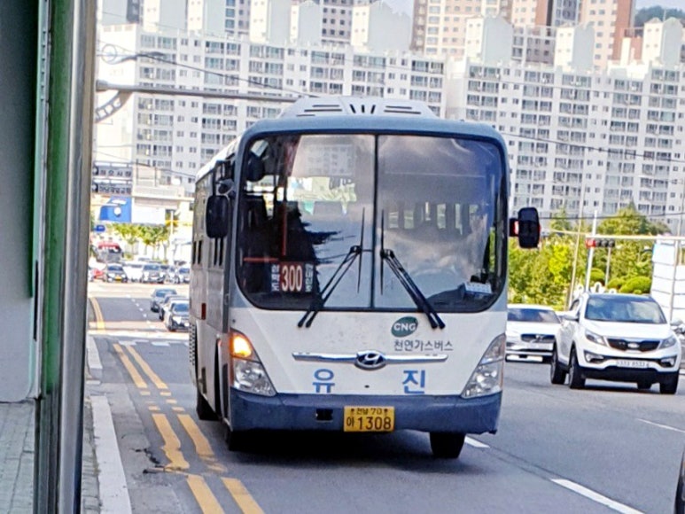 영산호현대 이미지