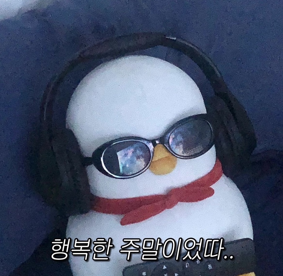 노가드네 이미지