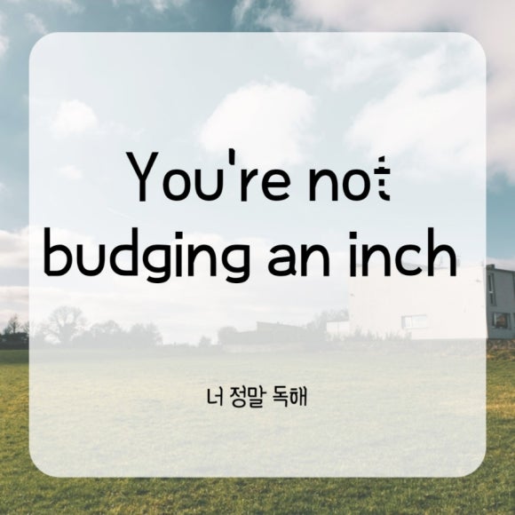에프엠인터내셔널 이미지
