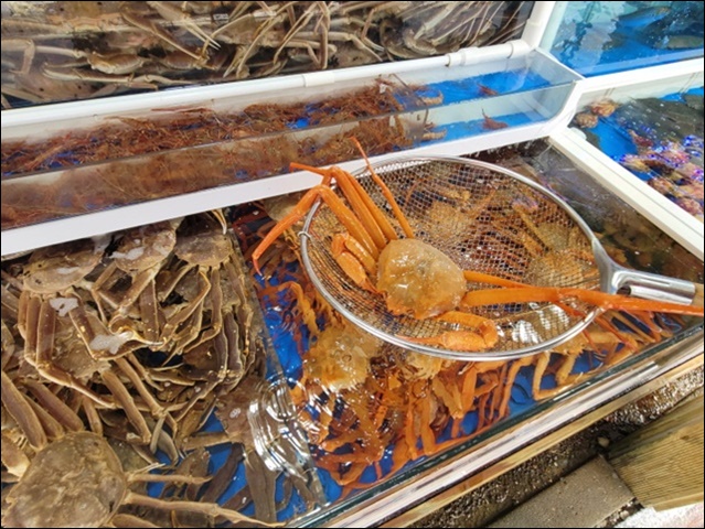 팔팔회센타 이미지