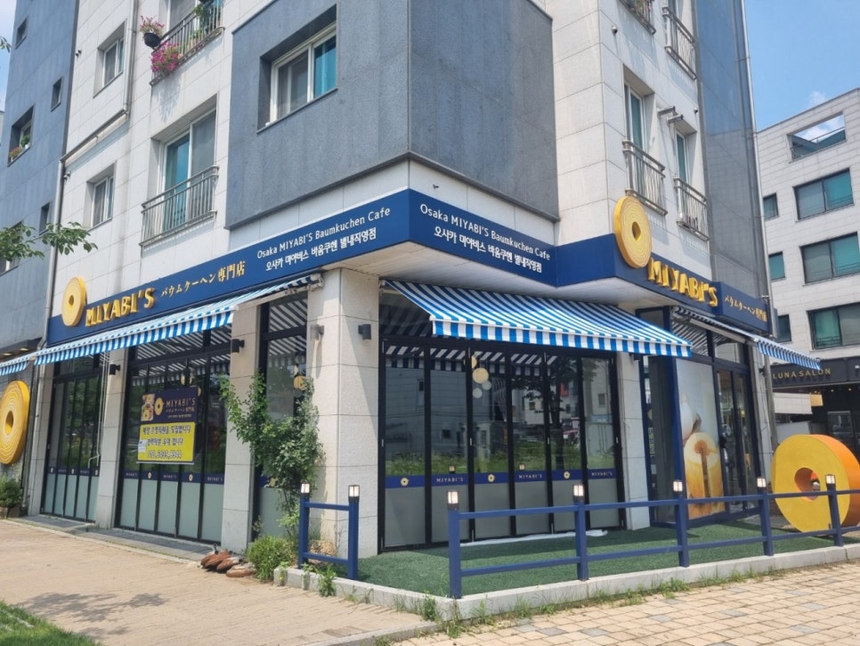 야비스 이미지