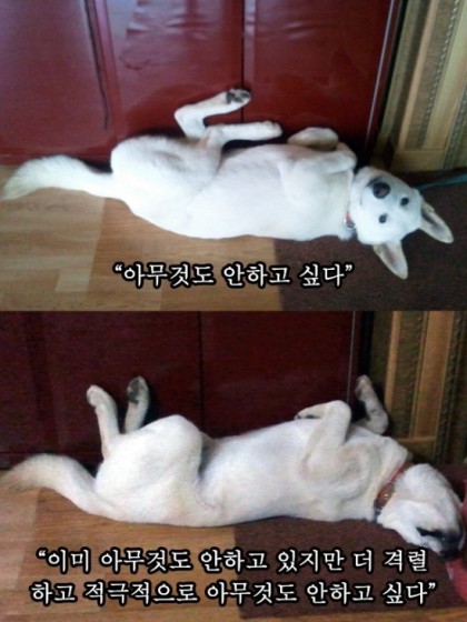 등명중학교 이미지