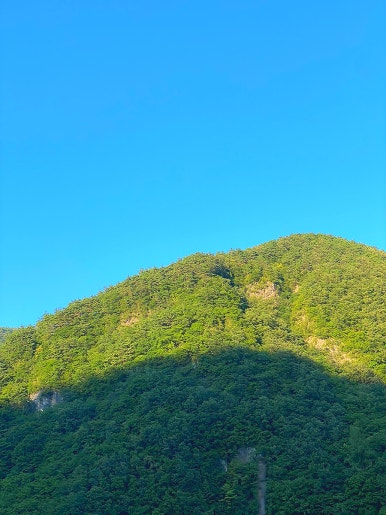 약수골막국수 이미지