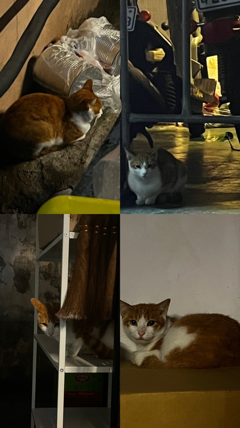 평화촌 이미지
