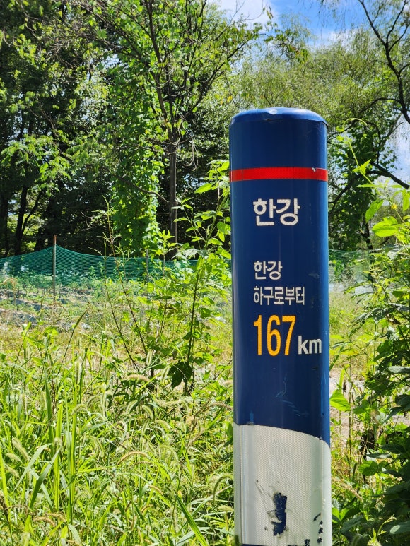 쇠불리마을카페허씨 이미지