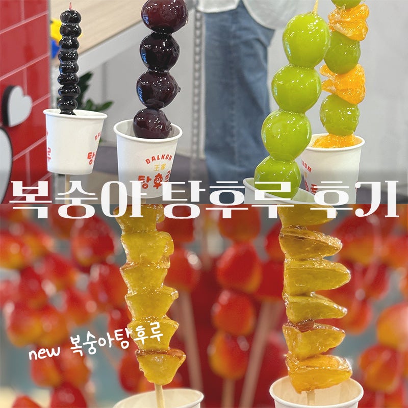 왕가네탕후루 이미지