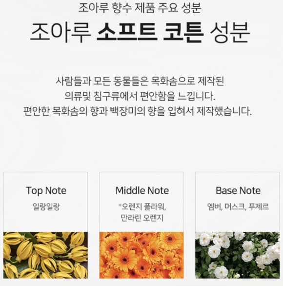 조아루 이미지