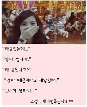 라포레소호 이미지