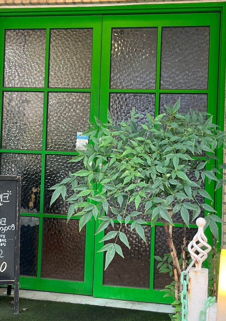 이파리플레이트 이미지