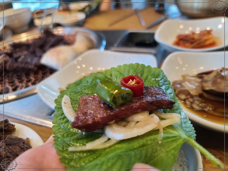 즐거운하누 이미지