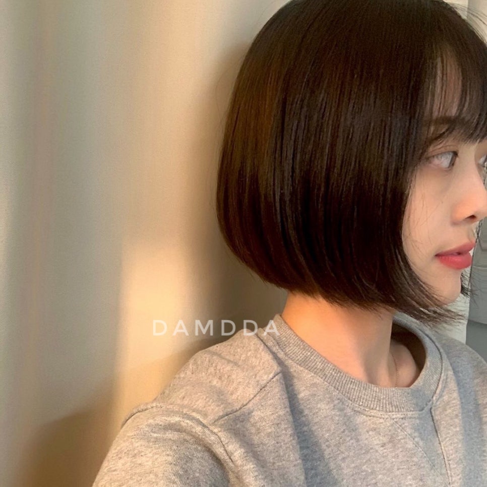 담따 이미지