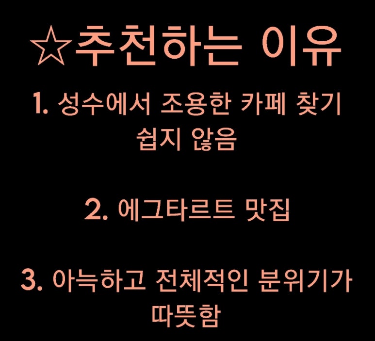 홀리스위츠 이미지