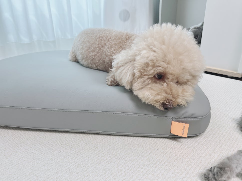 동신스폰지 이미지