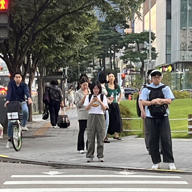 다래호프 이미지