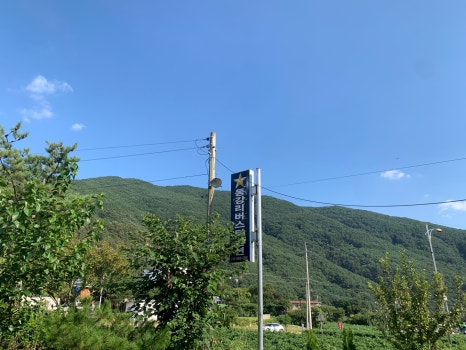 동강리버스타 이미지