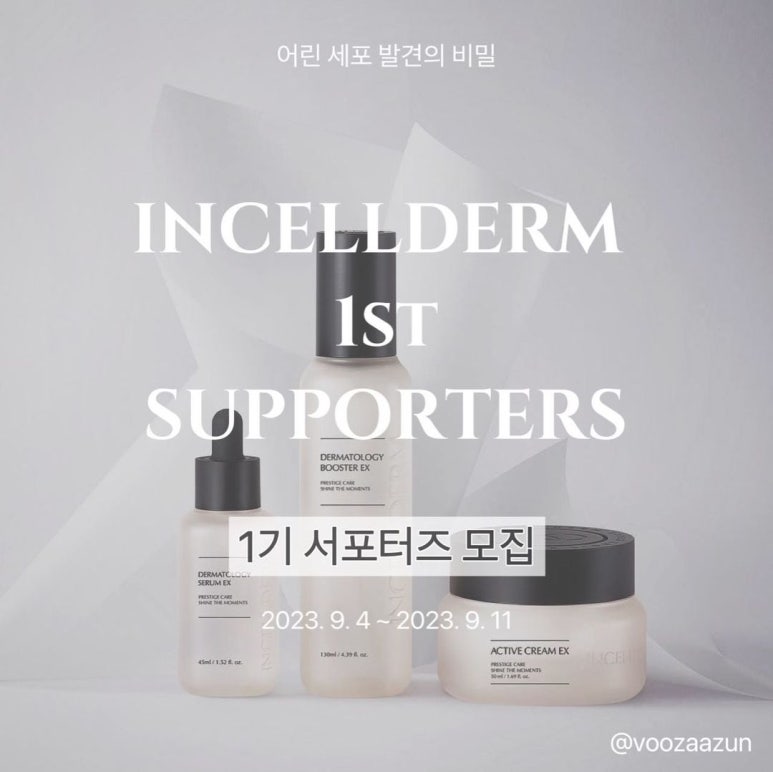 인셀덤 미션 이미지