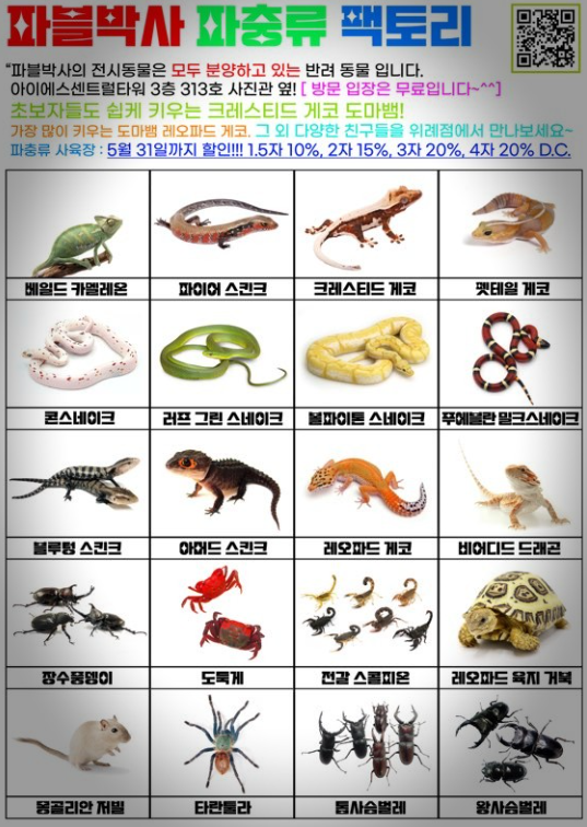 파블박사 이미지