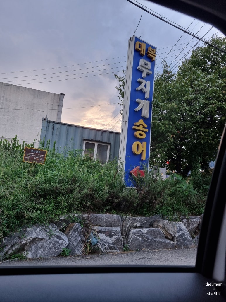 대복무지개송어회 이미지