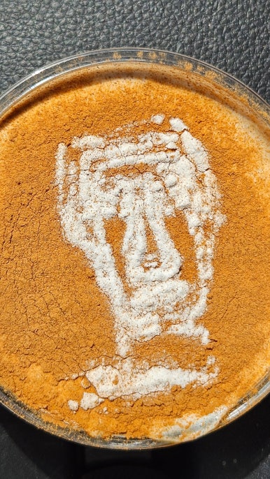 모아커피(MOA COFFEE) 이미지