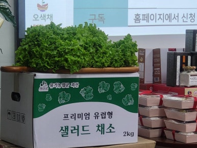 오색채 이미지