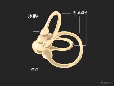 고유부 이미지