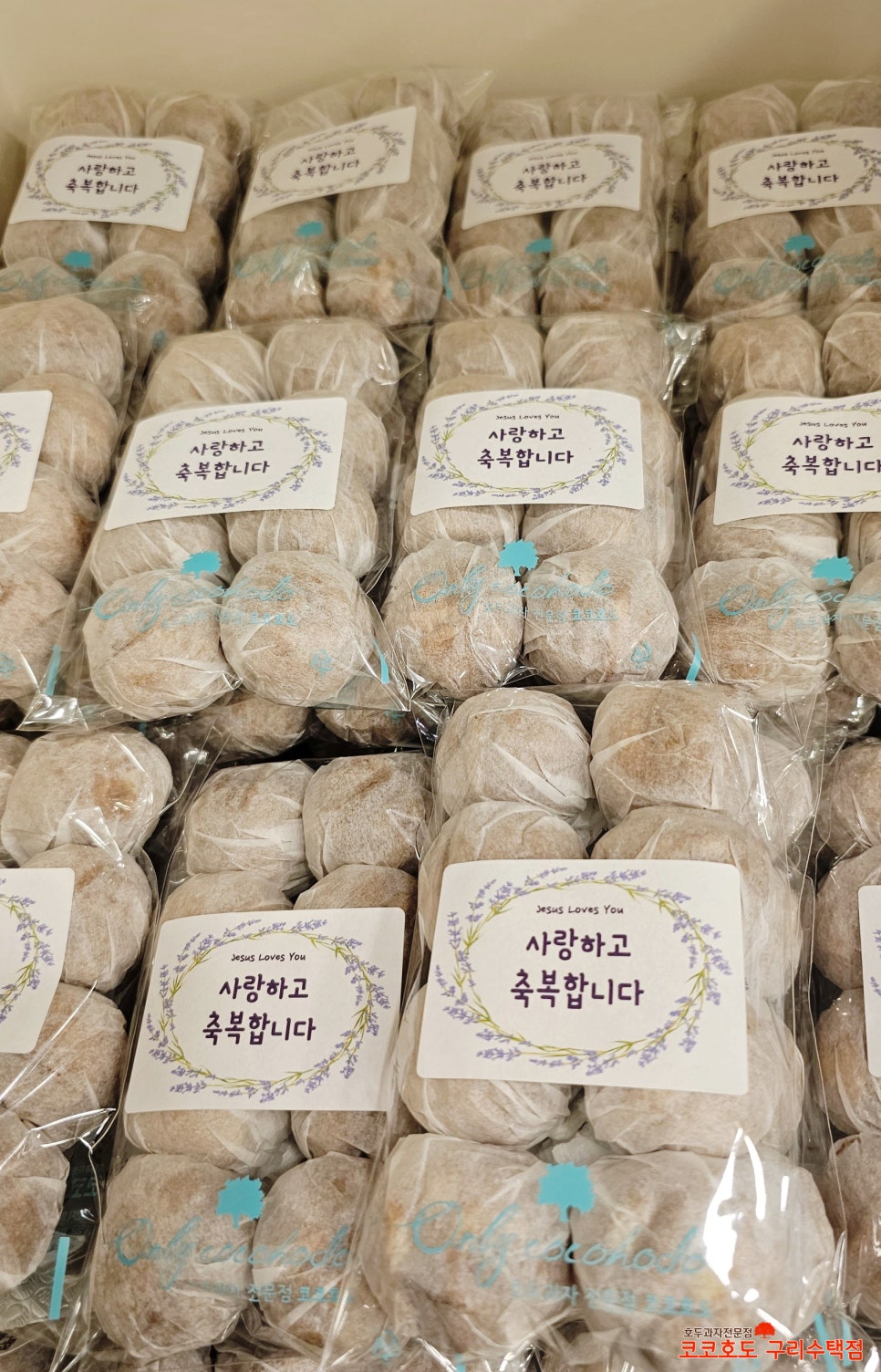 코코호도구리 이미지