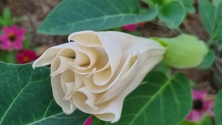 (주)한지교 이미지