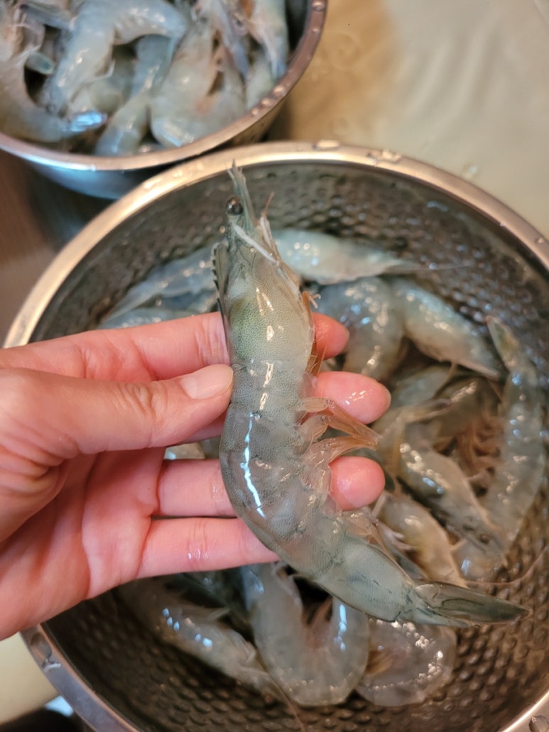 서희수산 이미지