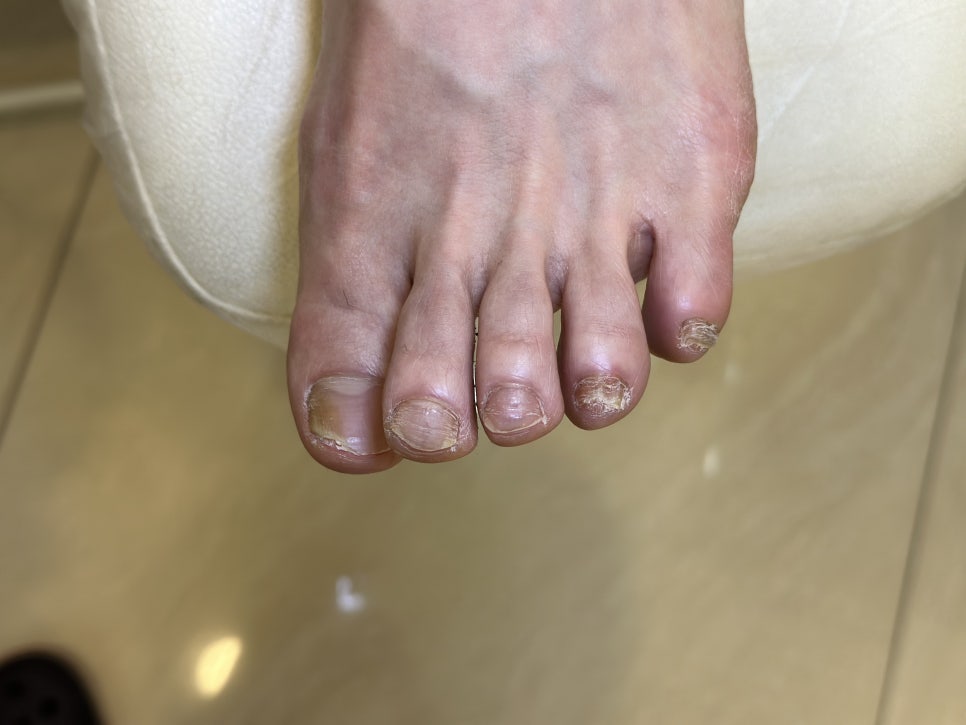 레푸스울산삼산점 이미지