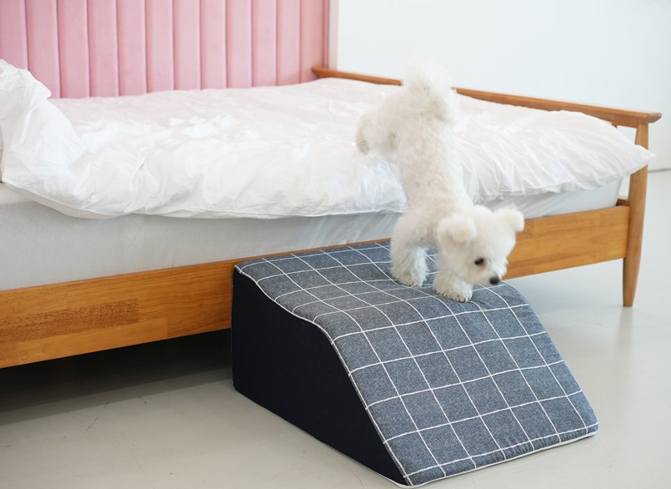 꼬메벨로 이미지