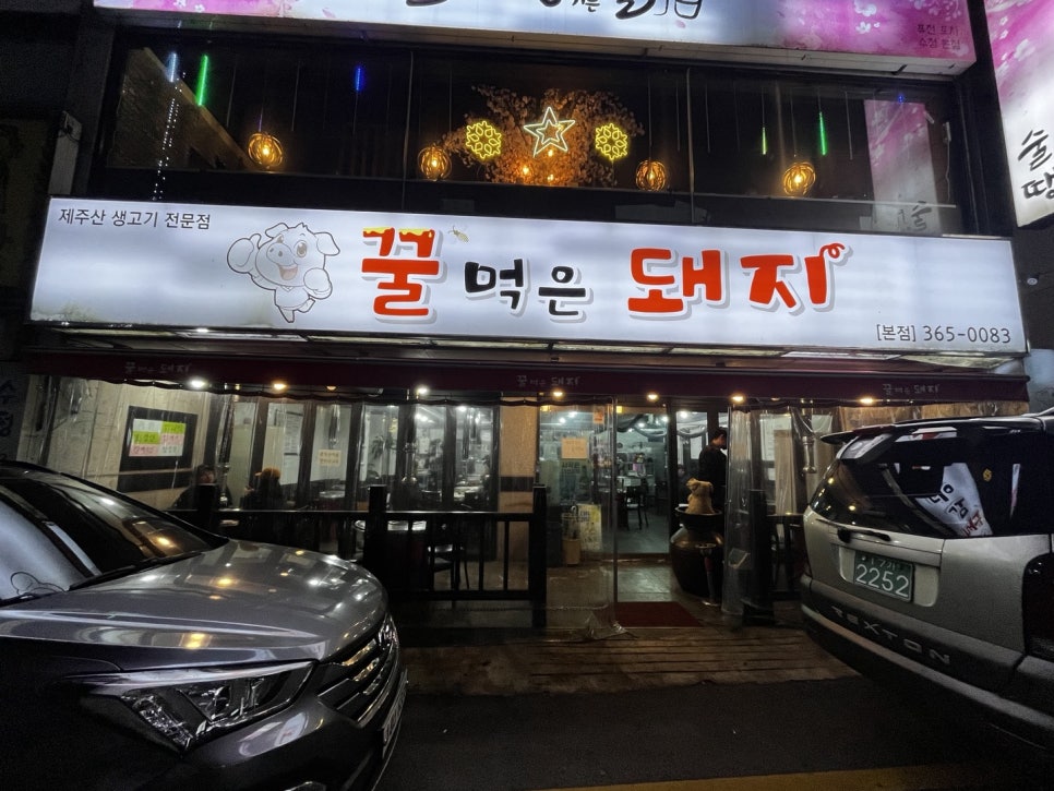 꿀먹은돼지 이미지
